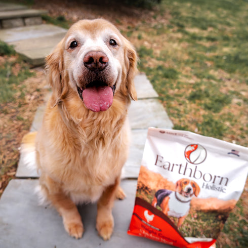 Earthborn Holistic Weight Control Dry Dog Food - Chicken & Vegetable - 4lb Bag