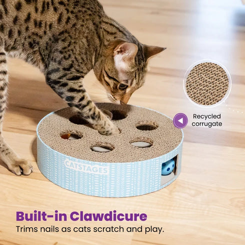 Catstages Scratch N' Hunt Puzzle Cat Toy