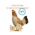 Manna Pro Non Medicated Chick Starter - 5lb Bag