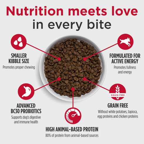 Nulo FreeStyle Small Breed Dry Dog Food - Salmon & Red Lentil - 4.5lb Bag