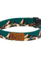 RC Pet Eco Dog Collar - M 1" - Serene Slopes