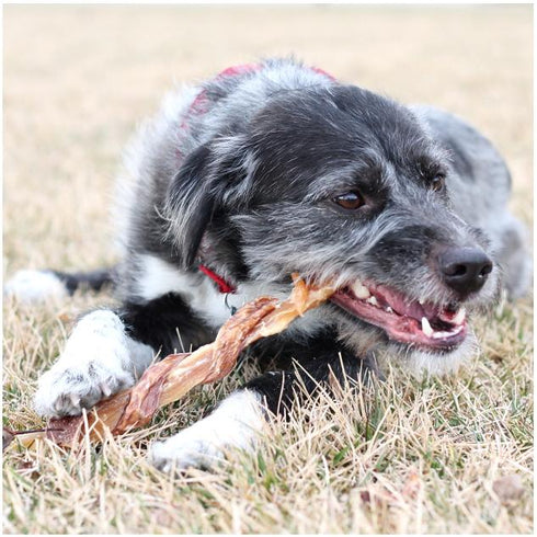 Tuesday's Beef Combo Strap Dog Treats - 12"
