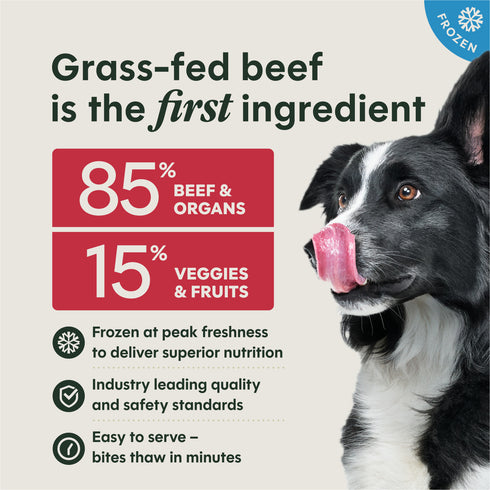 Instinct Raw Frozen Dog Food Bites - Real Beef - 3lb Bag