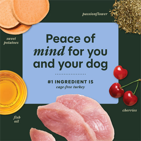 Instinct Raw Boost Mixers Tranquility Dog Food Topper - Turkey - 5.5oz Pouch