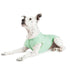 Goldpaw Sun Shield Dog & Cat Sun Protecting Tee - Pistachio - Size 8