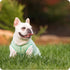 Goldpaw Sun Shield Dog & Cat Sun Protecting Tee - Pistachio - Size 8