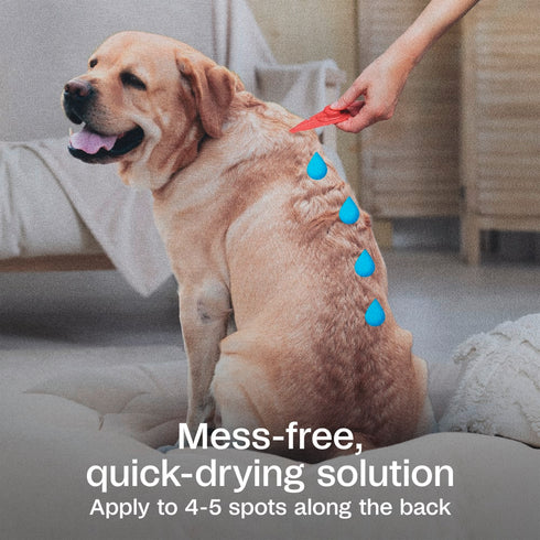 Adams Plus Flea & Tick Spot On for X-Large Dogs 61-150lbs - 3 Month Supply