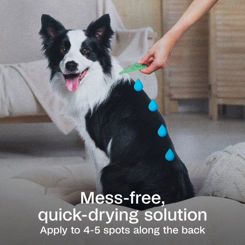 Adams Plus Flea & Tick Spot On for Large Dogs 31-60lbs - 3 Month Supply