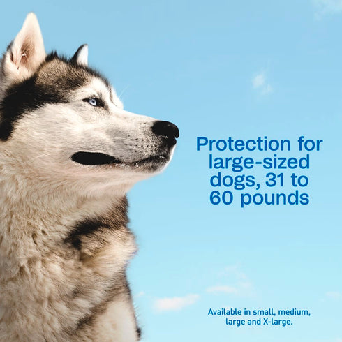 Adams Plus Flea & Tick Spot On for Large Dogs 31-60lbs - 3 Month Supply