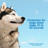 Adams Plus Flea & Tick Spot On for Large Dogs 31-60lbs - 3 Month Supply
