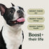 Instinct RawBoost Grain Free Dry Dog Food - Real Beef - 10lb Bag