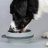 Cleverpup Nomad Collapsible Travel Dog Bowl - Large - Grey