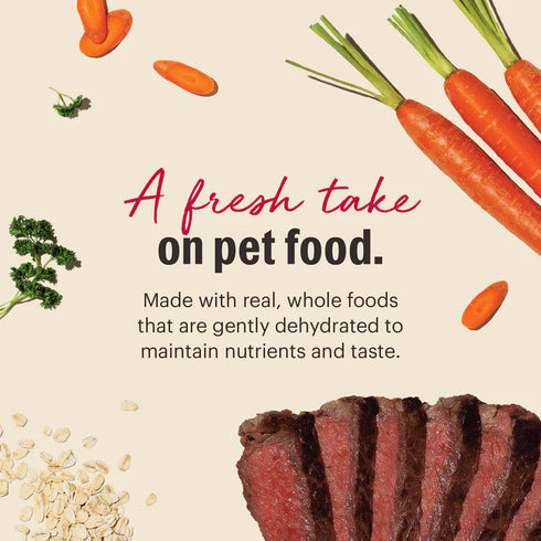 The Honest Kitchen Wholemade With rain Dehydrated Dog Food - Beef & Oat - 2lb Box