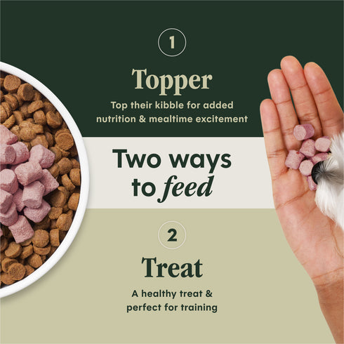 Instinct Raw Boost Mixers Skin & Coat Dog Food Topper - Chicken - 5.5oz Pouch