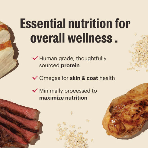 The Honest Kitchen Whole Grain Clusters Dry Dog Food - Chicken & Beef - 20lb Bag