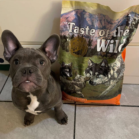 Taste of the Wild High Prairie Puppy Dry Dog Food - Roasted Bison & Venison - 14lb Bag
