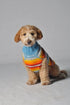Chilly Dog Dog Sweater - Large - Turquoise Serape