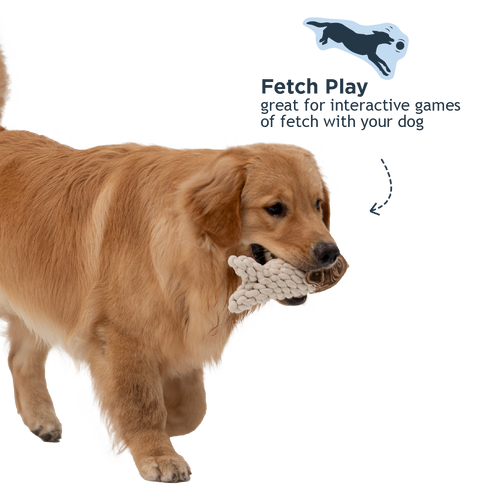 Tall Tails Natural Leather Crunch Fish Rope Dog Toy - 5"