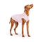 Goldpaw Sun Shield Dog & Cat Sun Protecting Tee - Pink Lemonade - Size 8