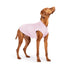 Goldpaw Sun Shield Dog & Cat Sun Protecting Tee - Pink Lemonade - Size 8