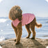 Goldpaw Sun Shield Dog & Cat Sun Protecting Tee - Pink Lemonade - Size 8
