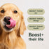Instinct RawBoost Dry Dog Food - Real Beef - 20lb Bag