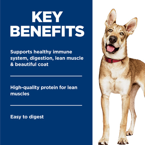 Hill's Science Diet Adult 1-6 Wet Dog Food - Savory Stew with Chicken & Vegetables - 12.8oz Can