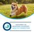 Fromm Nutritionals Digestive Support Low Fat Wet Dog Food Supplement - Tuna & Pumpkin Pate - 13oz Can