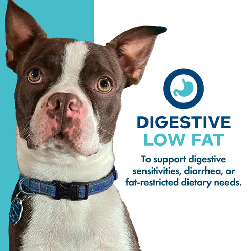 Fromm Nutritionals Digestive Support Low Fat Wet Dog Food Supplement - Tuna & Pumpkin Pate - 13oz Can