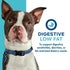 Fromm Nutritionals Digestive Support Low Fat Wet Dog Food Supplement - Tuna & Pumpkin Pate - 13oz Can
