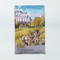 Taste of the Wild Ancient Mountain roasted lamb dry dog food bag