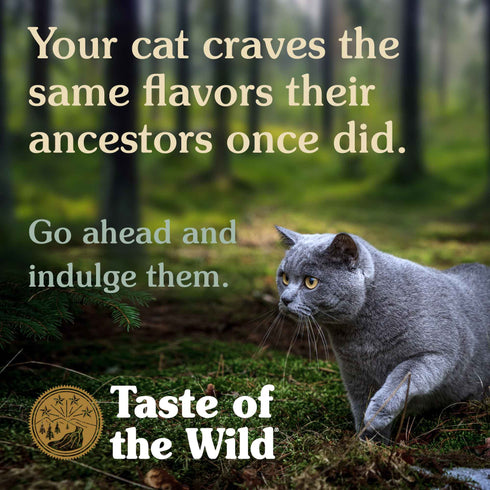 Taste of the Wild Canyon River Dry Cat Food - Trout & Salmon - 14lb Bag