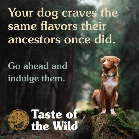 Taste of the Wild Ancient Mountain Dry Dog Food - Roasted Lamb - 14lb Bag