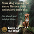 Taste of the Wild Ancient Wetlands Dry Dog Food - Roasted Fowl - 14lb Bag