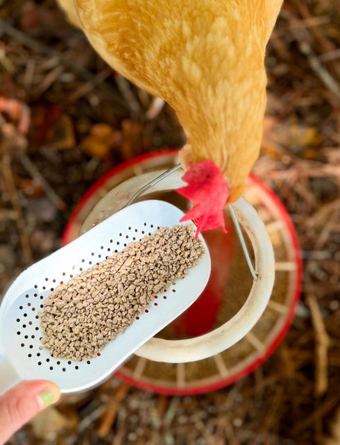 Scratch & Peck Organic Layer 16% Crumbles For Chickens & Ducks - 35lb Bag