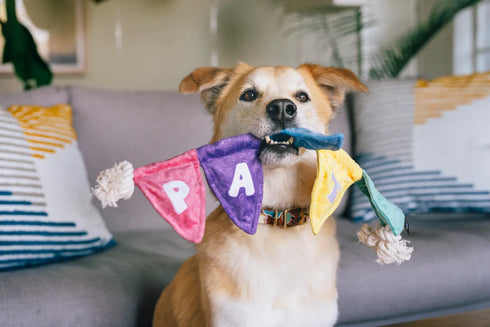 P.L.A.Y. Party Animal Tug n’ Party Banner Plush Dog Toy