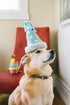 P.L.A.Y. Party Animal Yappy Party Hat Plush Dog Toy