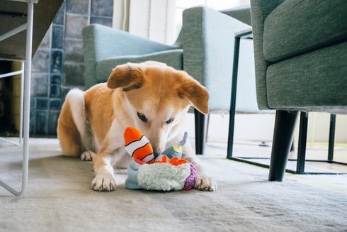 P.L.A.Y. Ocean Buddies Reef Retreat Plush Dog Toy