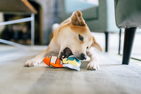 P.L.A.Y. Ocean Buddies Reef Retreat Plush Dog Toy