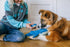 P.L.A.Y. Ocean Buddies Big Blue & Baby Blue Plush Dog Toy