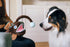 P.L.A.Y. Ocean Buddies Anglerfish Plush Dog Toy