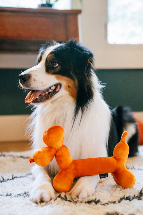 P.L.A.Y. Party Animal Balloon Buddy Plush Dog Toy