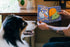 P.L.A.Y. Party Animal Barkday Wishes Dog Toy