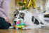 P.L.A.Y. Party Animal Fiesta Fetch Pinata Plush Dog Toy