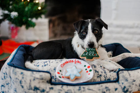 P.L.A.Y Merry Woofmas Christmas Eve Cookies Dog Toy