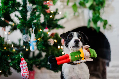 P.L.A.Y Merry Woofmas Santa's Little Elf-er Dog Toy