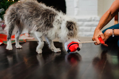 P.L.A.Y Merry Woofmas Clumsy Claus Dog Toy