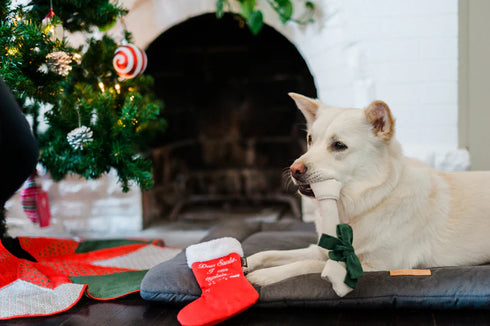 P.L.A.Y Merry Woofmas Good Dog Stocking Dog Toy