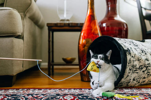 P.L.A.Y. Feline Frenzy Feline Blanc Wand Cat Toy