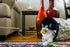 P.L.A.Y. Feline Frenzy Feline Blanc Wand Cat Toy